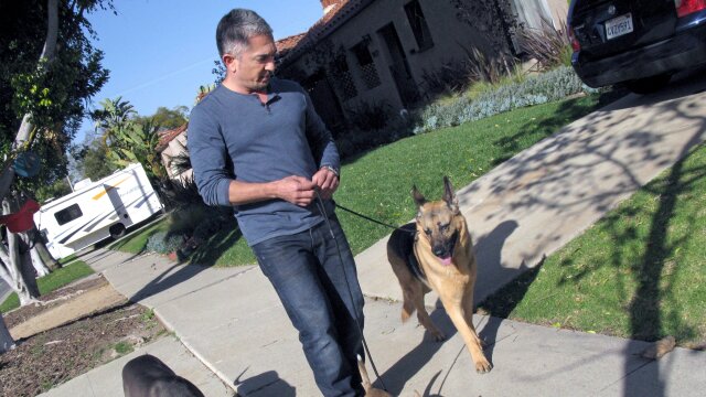 Dog Whisperer