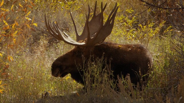 National Parks: USA