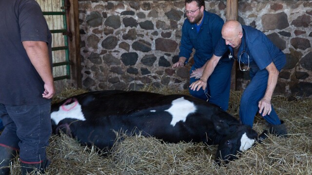 The Incredible Dr. Pol