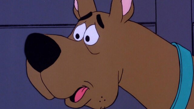 The Scooby-Doo Show