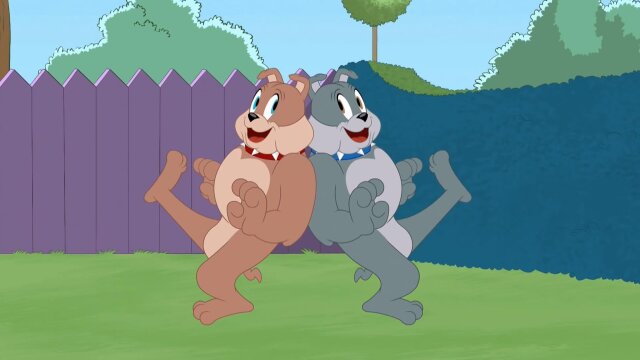 The Tom and Jerry Show