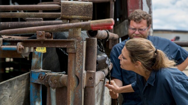 The Incredible Dr. Pol