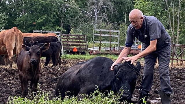 The Incredible Dr. Pol