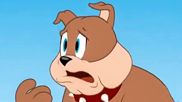 The Tom and Jerry Show