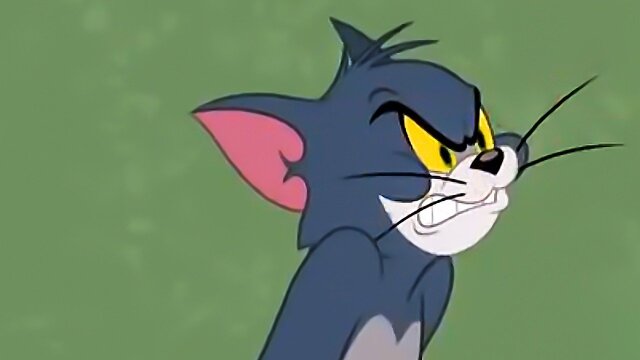 The Tom and Jerry Show