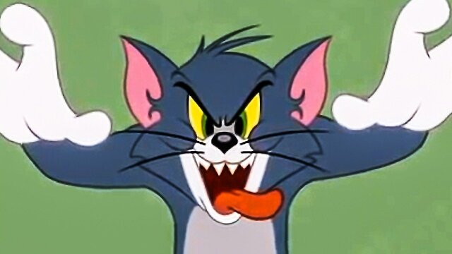 The Tom and Jerry Show