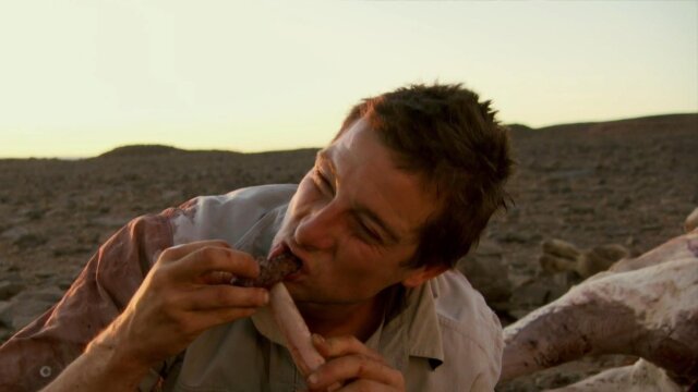 Man vs. Wild