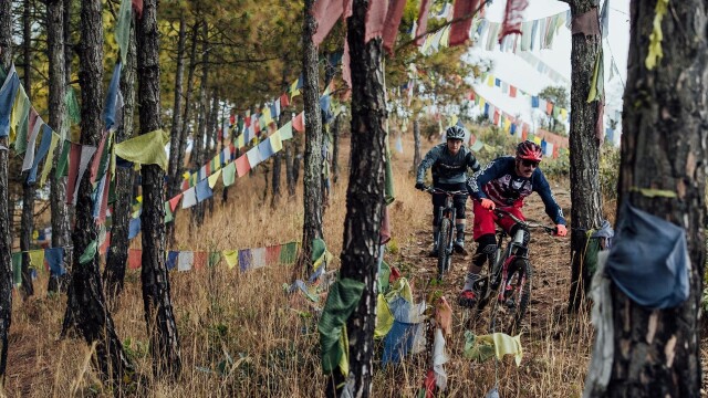 Rob Warner's Wild Rides