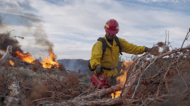 American Forest Fires: The Untold Story