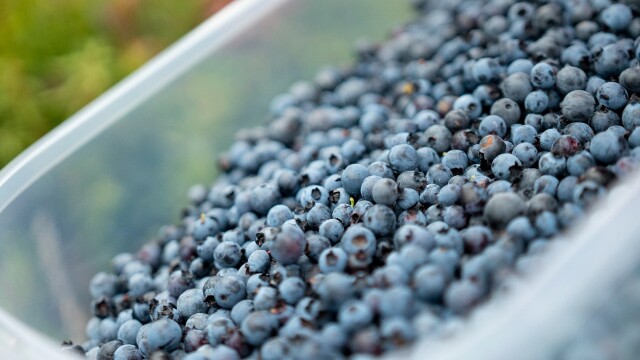 Chuck and the First Peoples' Kitchen