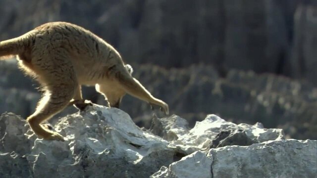 Madagascar