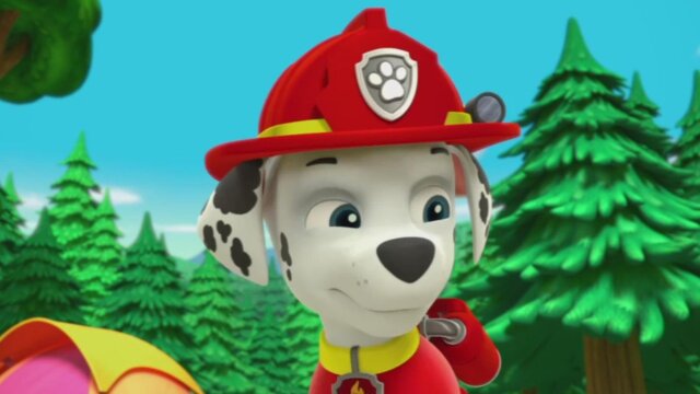 PAW Patrol