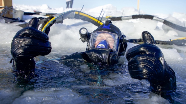 Bering Sea Gold