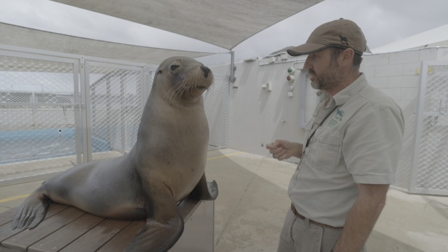 Secrets of the Zoo: Down Under