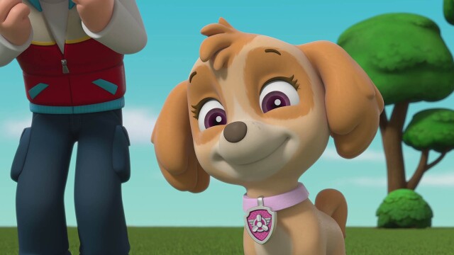 PAW Patrol