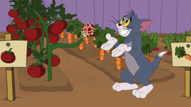 The Tom and Jerry Show