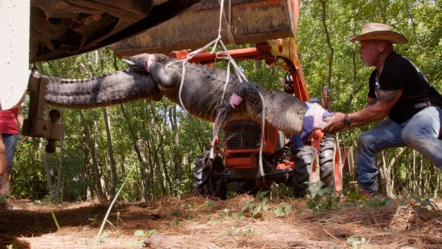 Texas Gator Savers