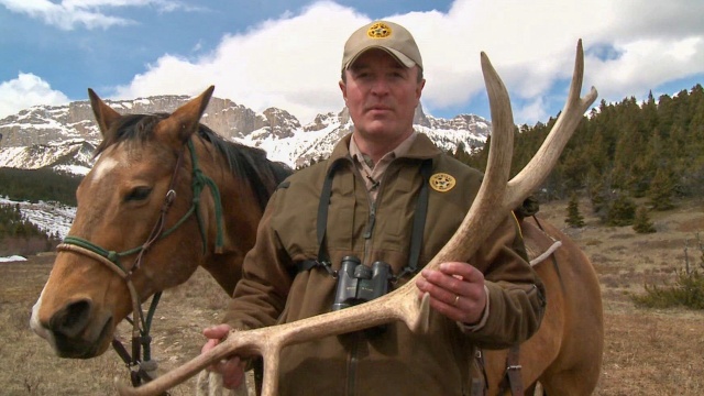 Yellowstone Wardens