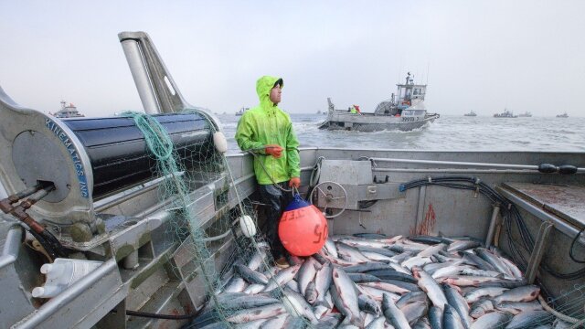 Alaska: Battle on the Bay