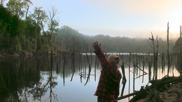 Alone Australia