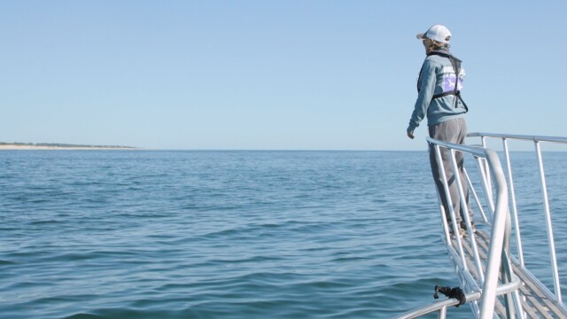 Rhode Island PBS Weekly