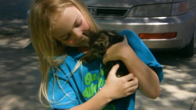 Dr. Jeff: Rocky Mountain Vet