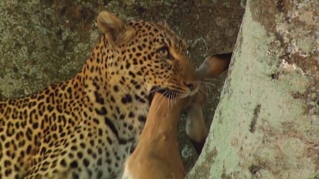 Peligros de la naturaleza