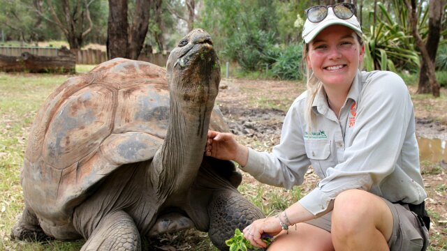 Secrets of the Zoo: Down Under