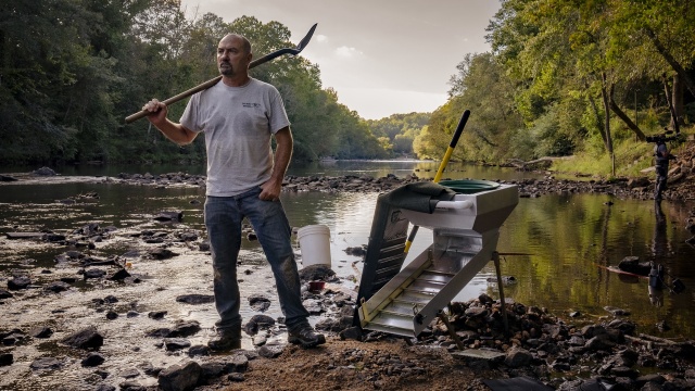 America's Backyard Gold