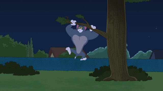 The Tom and Jerry Show