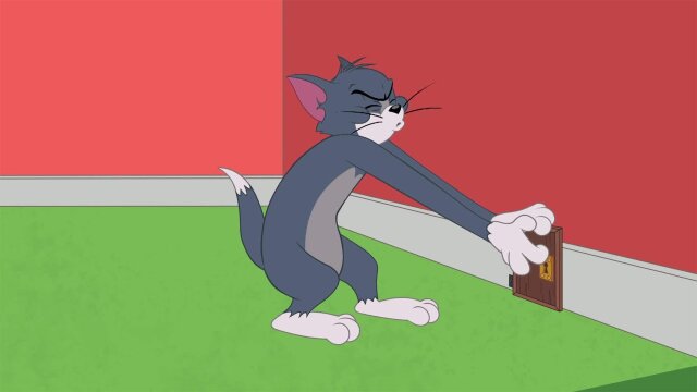 The Tom and Jerry Show