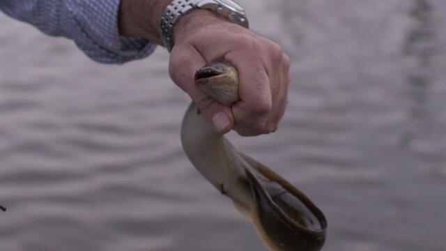 Bizarre Foods With Andrew Zimmern