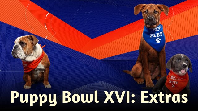 Puppy Bowl XVI: Extras