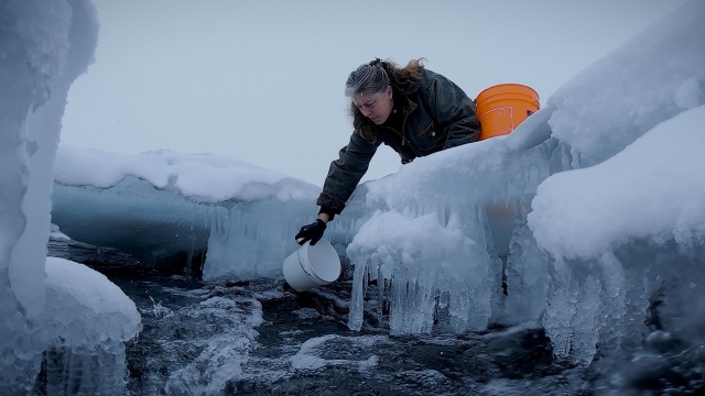 Life Below Zero