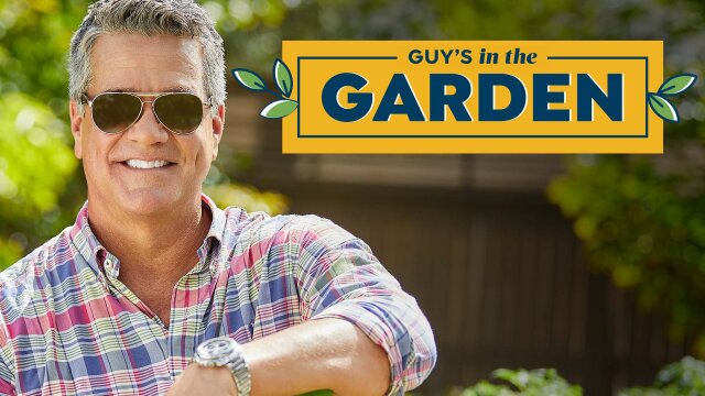 Guy's in the Garden - Weekend Special