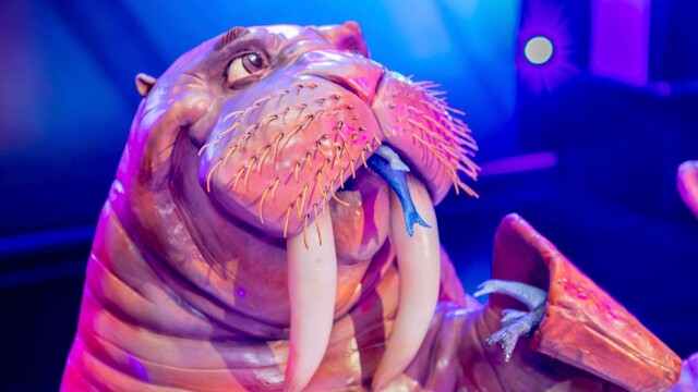 Buddy vs. Duff Holiday