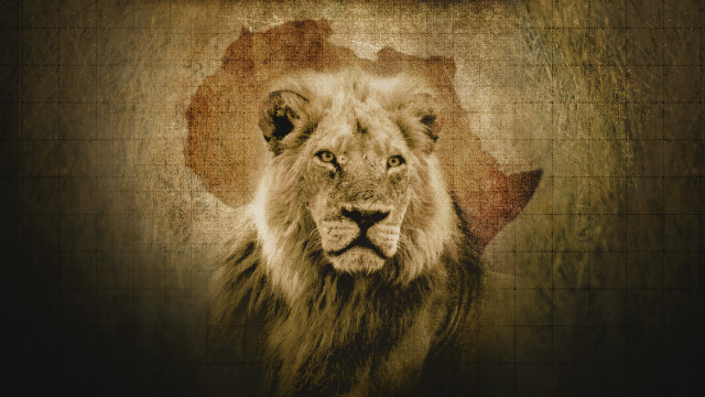 Into the Pride Lands