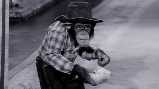 Best of The Beverly Hillbillies