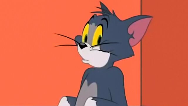The Tom and Jerry Show