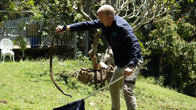 Aussie Snake Wranglers