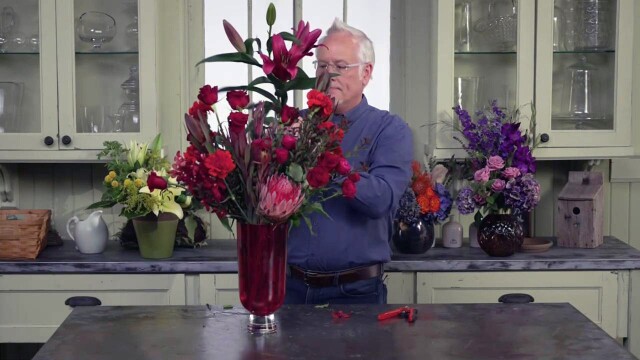 J Schwanke's Life in Bloom
