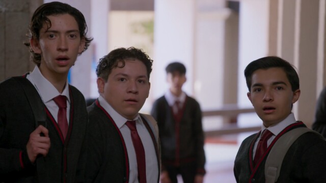 La rosa de Guadalupe