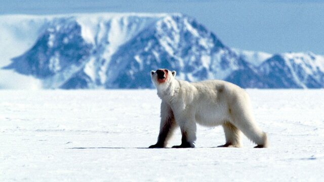 Planet Earth: The Blue Planet