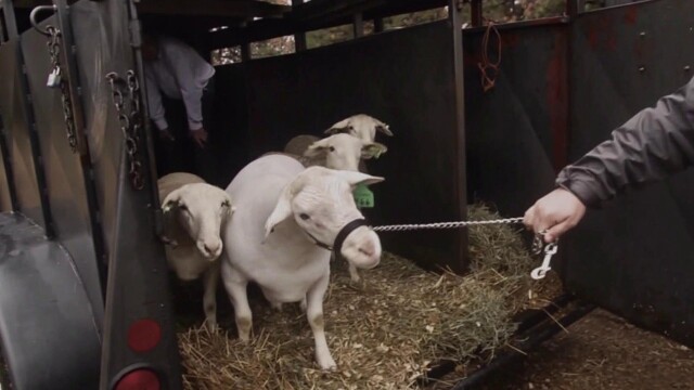 P. Allen Smith's Garden Home