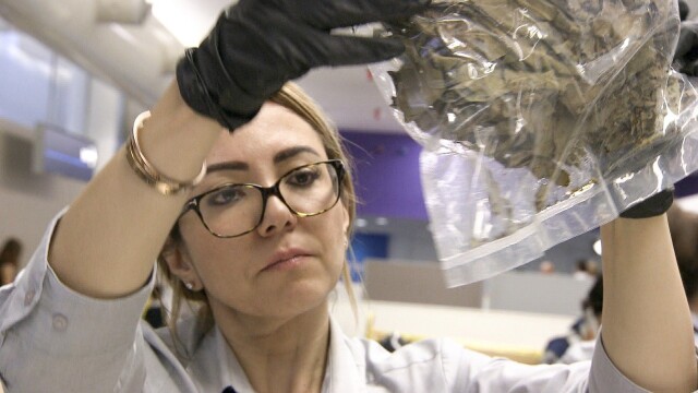 Border Security: Australia's Front Line