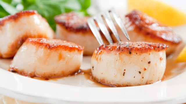 America's Test Kitchen