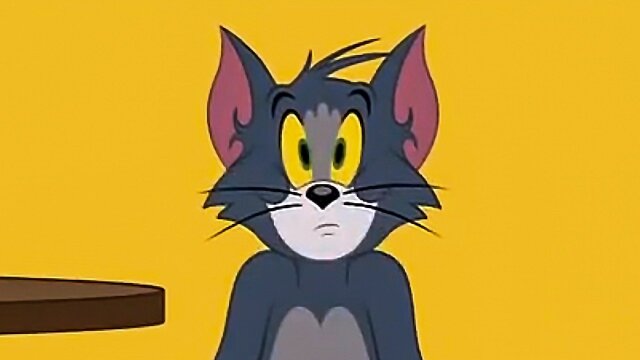 The Tom and Jerry Show