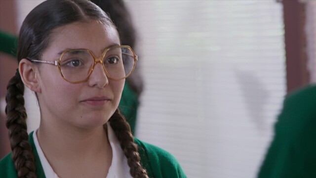 La rosa de Guadalupe