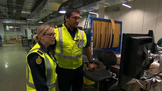 Watch Border Security: Australia's Front Line Leaping Lizards S13 E12 ...