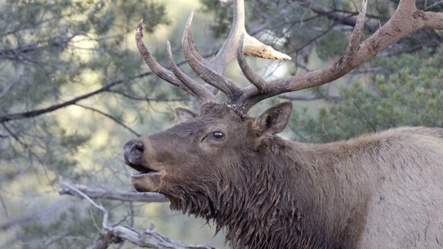 America's National Parks